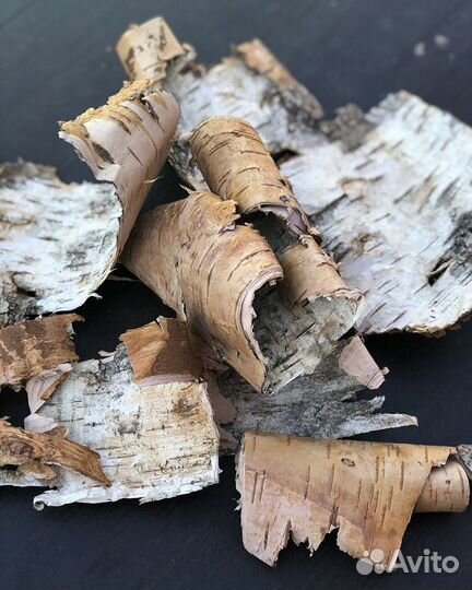 Березовая кора