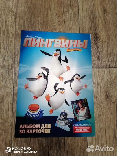 Пингвины Мадагаскара
