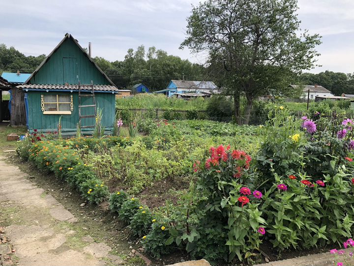 Дом 50,8 м² на участке 11 сот.