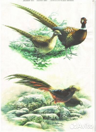 Декупажная карта