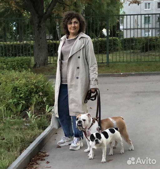 Выгул собак, догситтер (зооняня)