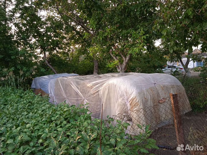 Продам сено в рулонах