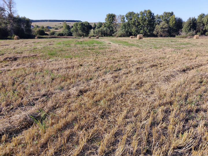 Участок 3 га (СНТ, ДНП)