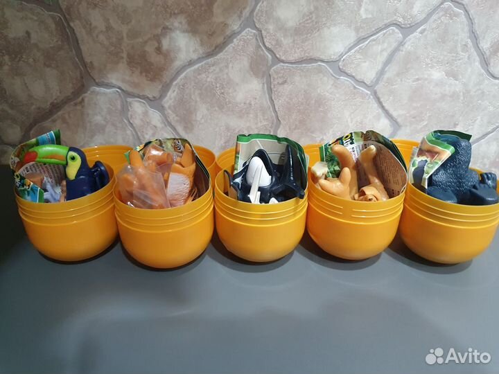 Kinder maxi natoons 2022