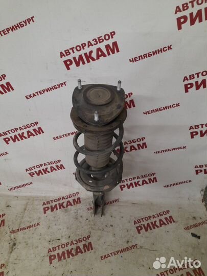 Стойка передняя Toyota Bb NCP30 2NZ-FE 2005