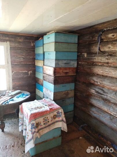 Продам пасеку