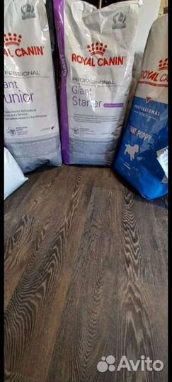 Сухой корм для собак Роял канин