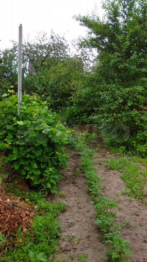 Дача 20 м² на участке 6 сот.