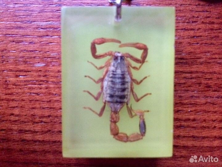Брелок с настоящим скорпионом