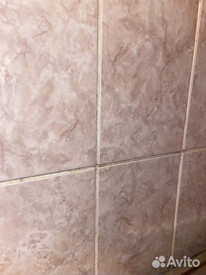 Уничтожение насекомых, обработка от клещей