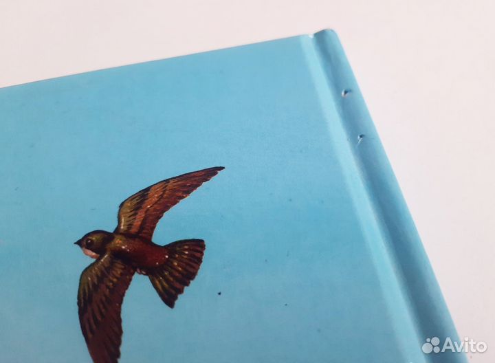 Детские книги большого формата