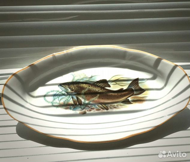 Селедочница 