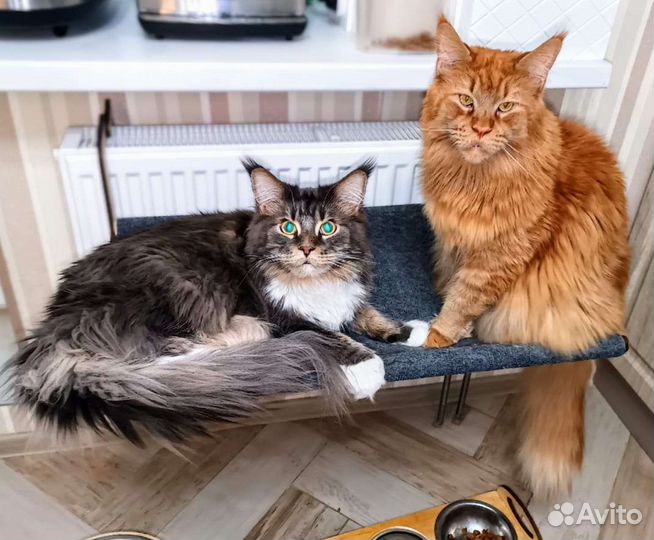 Гамак лежанка на батарею