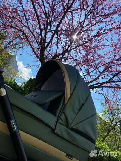 Коляска 2 в 1 adamex