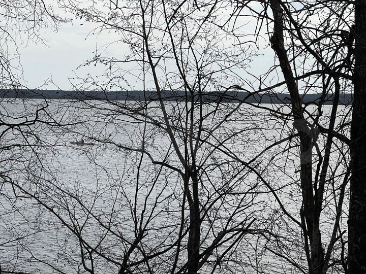 Участок 11,9 сот. (СНТ, ДНП)