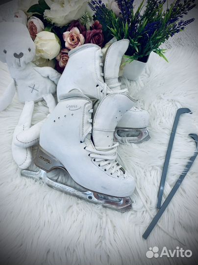 Фигурные коньки edea chorus 230