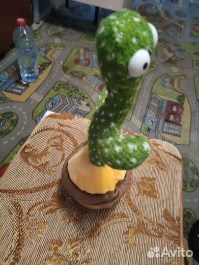 Говорящий кактус