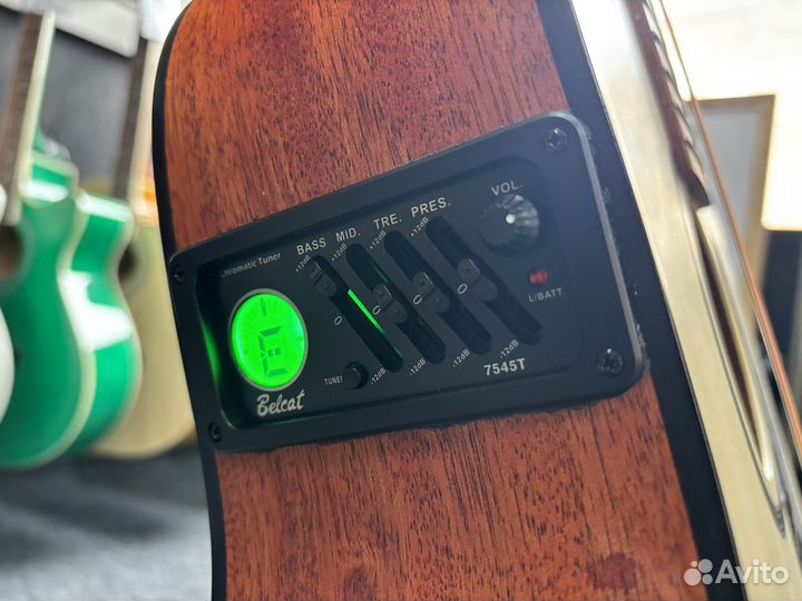 12 струнная гитара со звукоснимателем