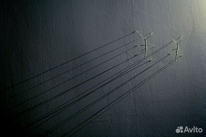 Аннамский палочник (с чувством высокого)