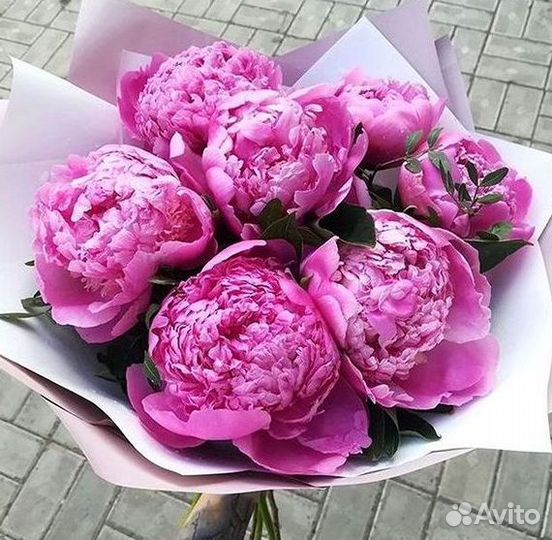 Пионы Букет пионов