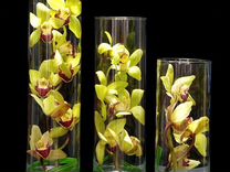 Горшок кашпо для орхидей клипсы опоры поддоны