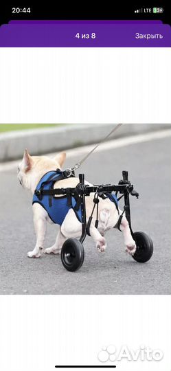 Инвалидная коляска для собак