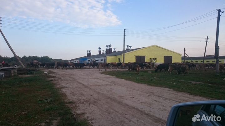 Фермерское хозяйство