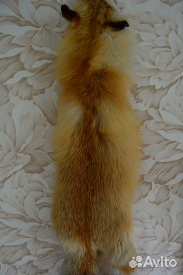 Лисья шкура