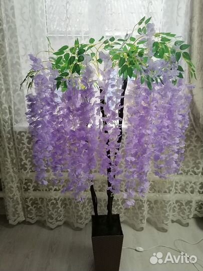 Ростовые цветы