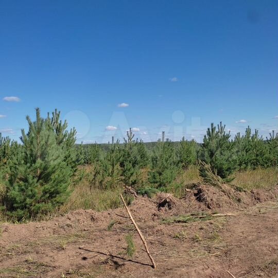 Участок 7 сот. (СНТ, ДНП)