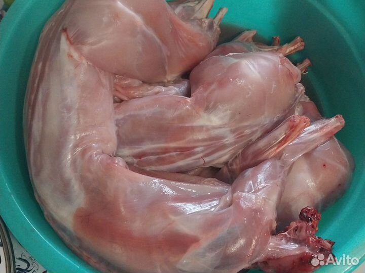 Продам мясо кролика
