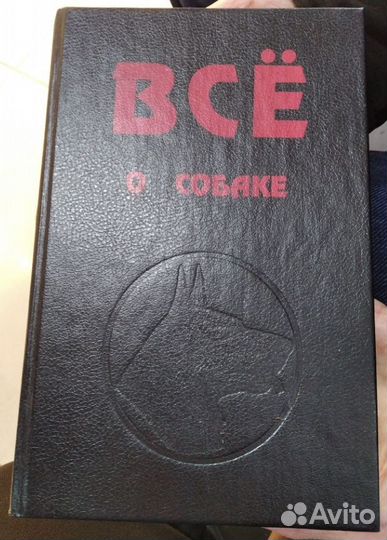 Всё о собаке