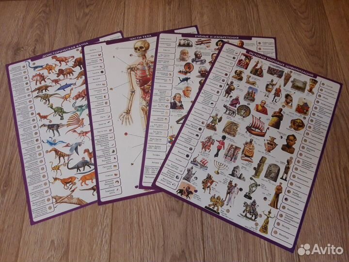 Электровикторина Educa