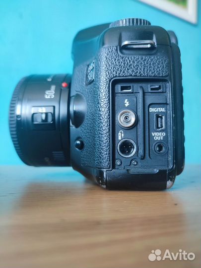 Canon 5D полный кадр + 50mm 1.8 (ручной фокус)