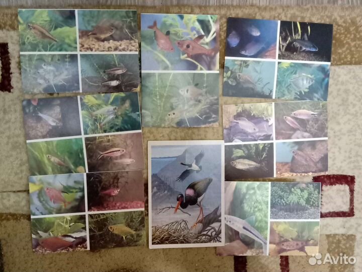 Открытки СССР чистые и нет