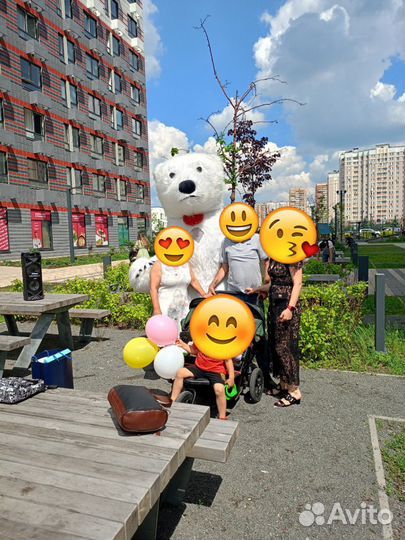 Белый мишка поздравление ростовой медведь аниматор