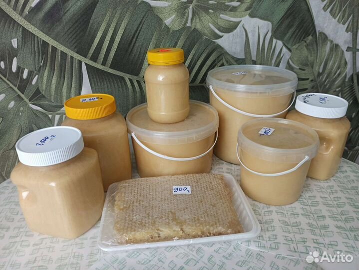 Свежий мёд 2023 год. И мёд 2022год