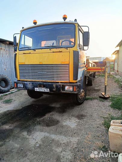 МАЗ 4370 с КМУ, 2006