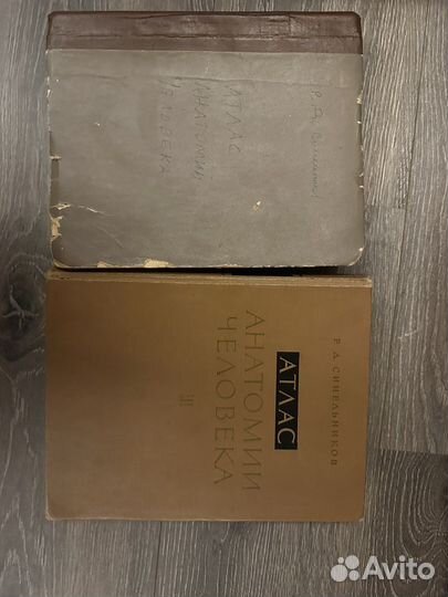 Атлас анатомии человека синельников