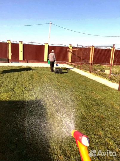 Рулонный газон 