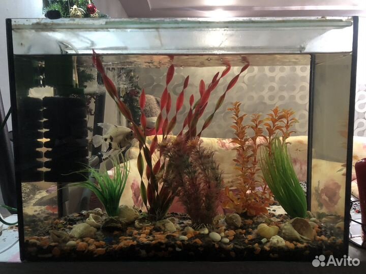Аквариум