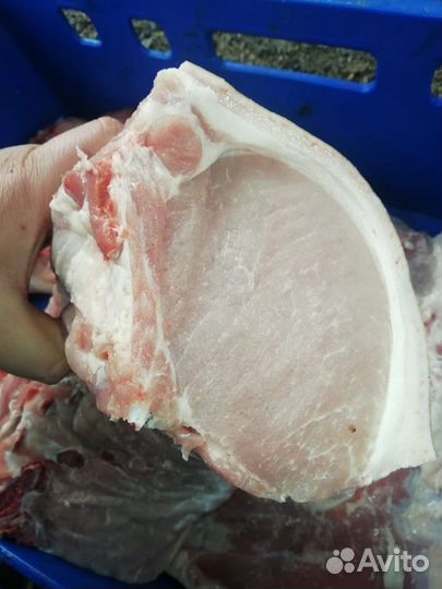 Мясо свинина