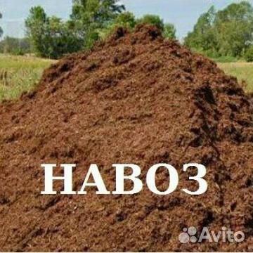 Продам Новоз