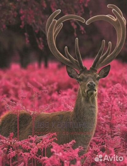 Алмазная мозаика 40x50 Олень с рогами в форме серд