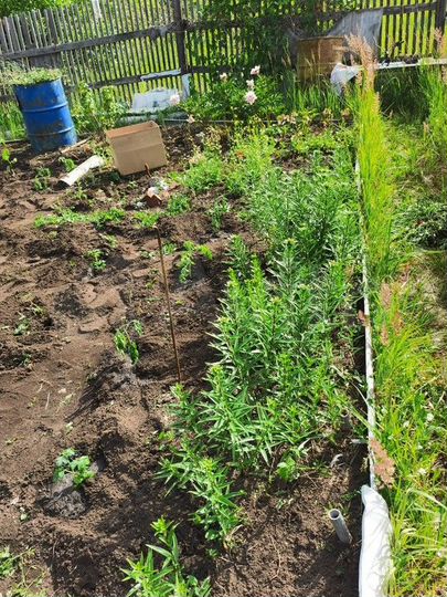 Дача 20 м² на участке 5 сот.