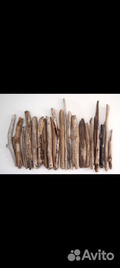 Коряга дрифтвуд