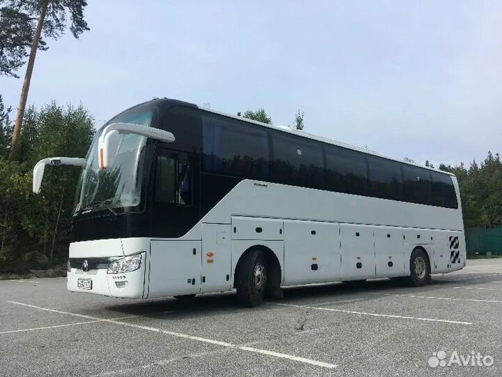 Детские автобусные перевозки