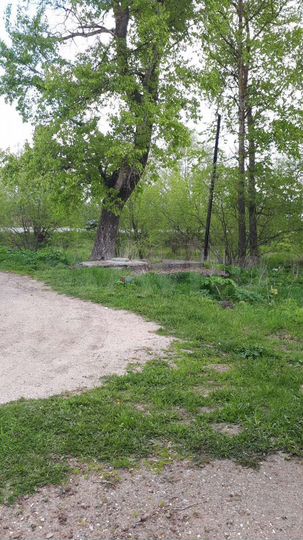 Участок 12 сот. (ИЖС)