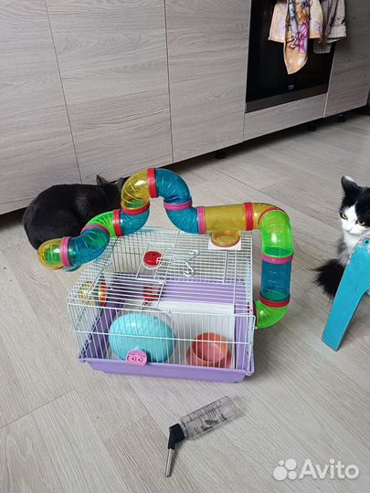 Клетка для хомяков