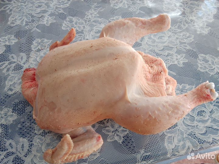 Бройлеры цыплята